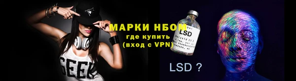 PSILOCYBIN Карталы