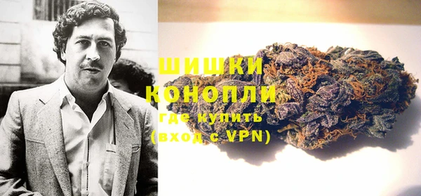 гидропоника Карпинск