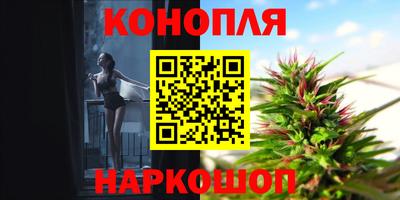 ГАЛЛЮЦИНОГЕННЫЕ ГРИБЫ Славгород