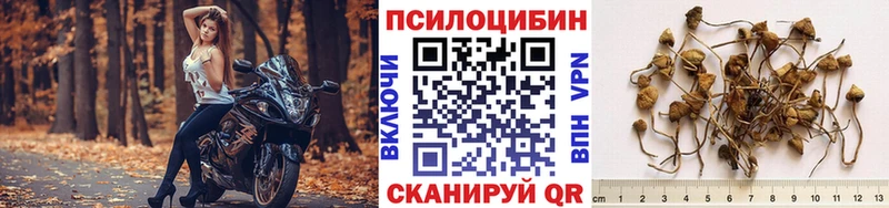 ссылка на мегу как зайти  маркетплейс формула  Галлюциногенные грибы прущие грибы  Сыктывкар 