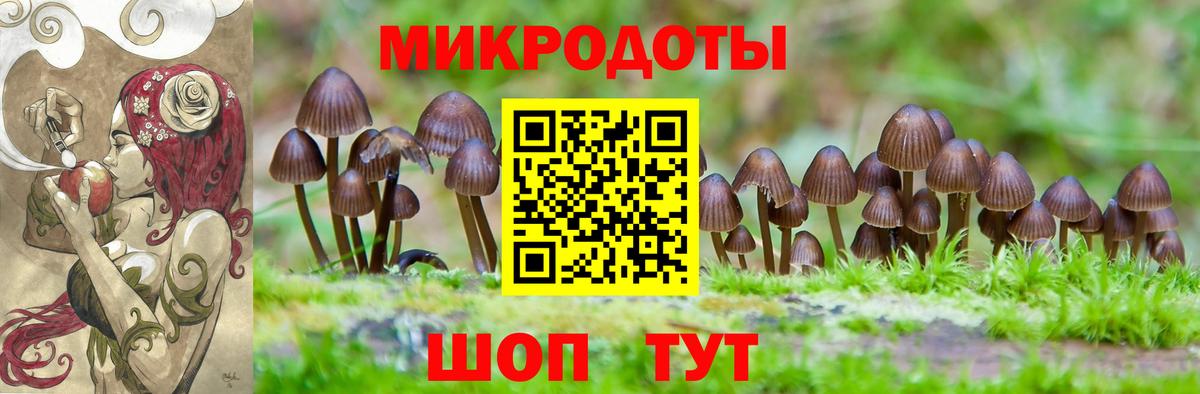 Псилоцибиновые грибы мицелий  Вход с VPN  Сыктывкар  Галлюциногенные грибы Psilocybe 