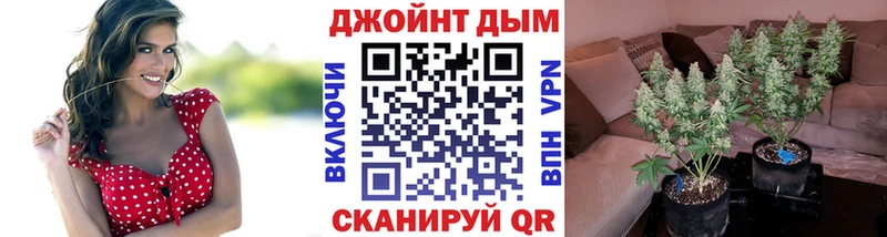Бошки Шишки план  наркота  Сыктывкар 
